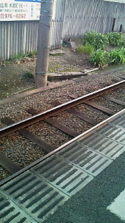 �ӂ����݂̂΂����[�O�ցO�{