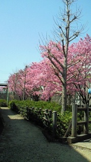 �䂫����