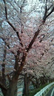 �A�蓹