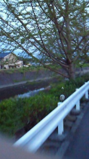 �A�蒆