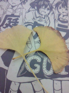 �����L���b�`�_(^O^)�^
