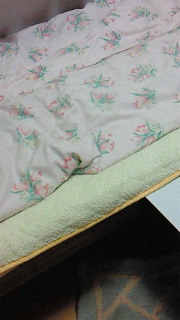 (untitled)