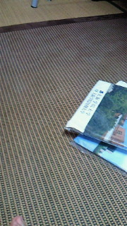 (untitled)