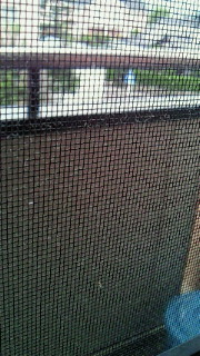 (untitled)