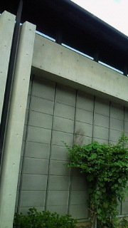 (untitled)